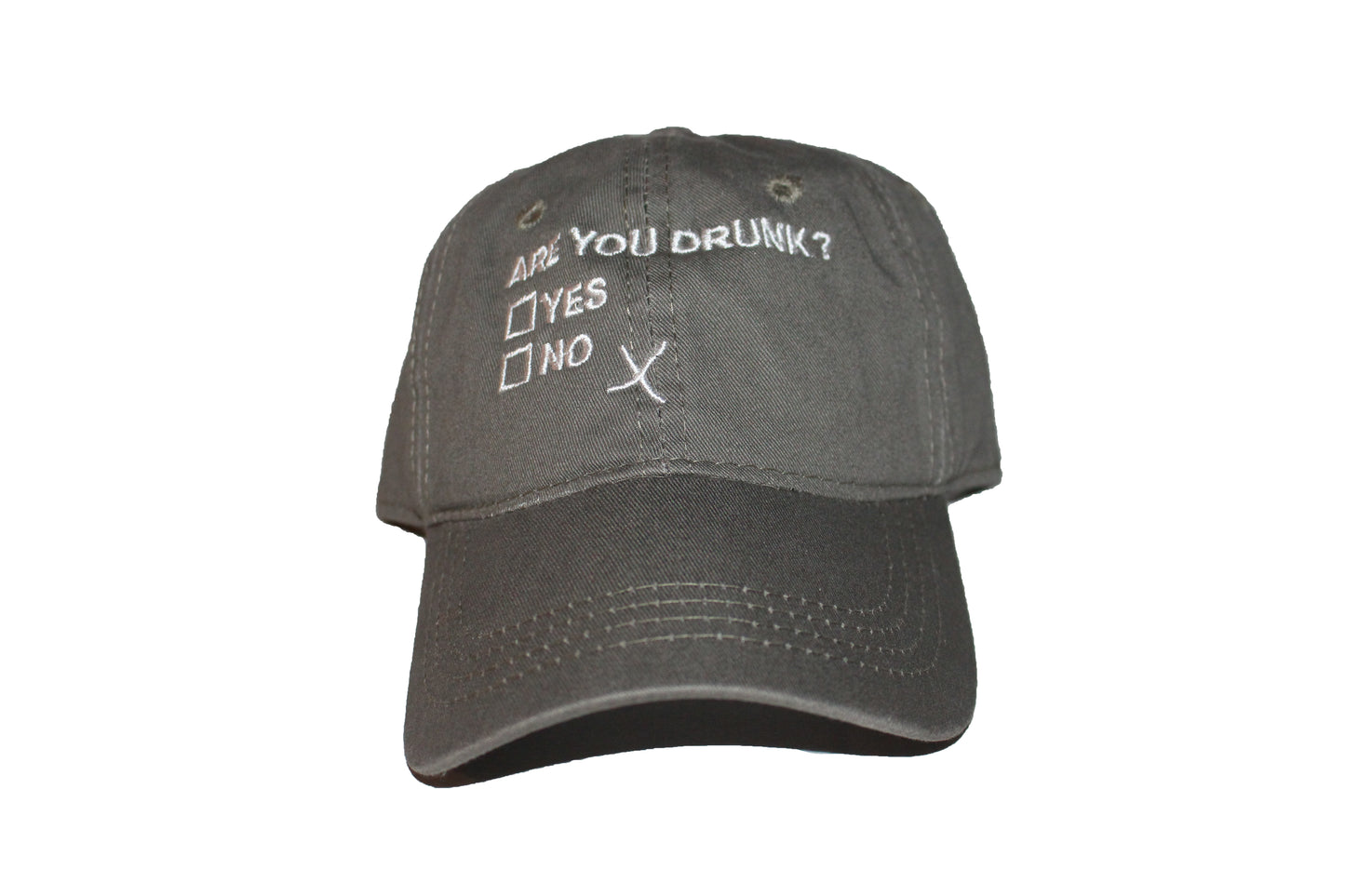 Are You Drunk? Dad Hats