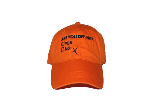 Are You Drunk? Dad Hats