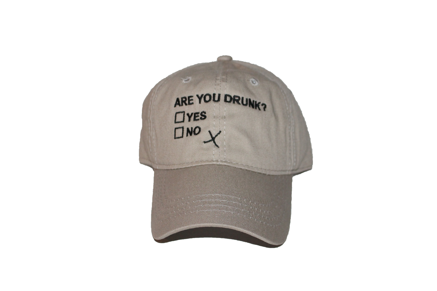 Are You Drunk? Dad Hats